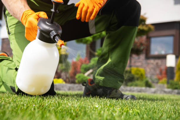 Best Best Pest Control Near Me  in Laramie, WY