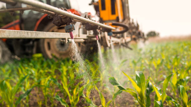 Reliable Laramie, WY Pest Control Solutions